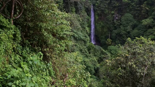 the beauty of a hidden waterfall in the Buleleng forest, Bali