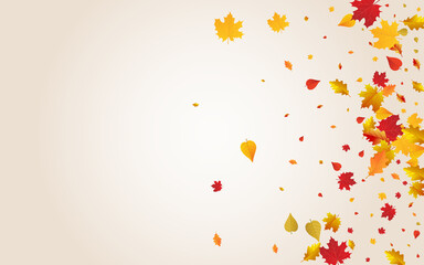 Golden Floral Vector Transparent Background.