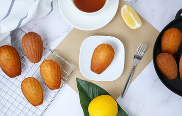 Vanilla madeleines in white plate and on the cooling rack - flat lay french sweet cake on the...