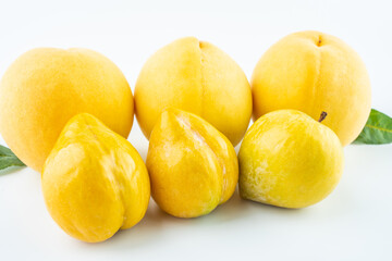 Yellow peach and golden plum, a specialty fruit of Yanling, Hunan