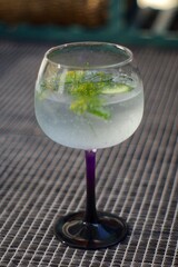 Obraz premium Glass of gin and tonic