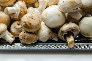 Portobello and white mushrooms on a silver plate, vegetables from an organic farm