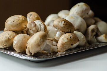 Portobello and white mushrooms on a silver plate, vegetables from an organic farm