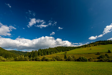 Wide angle view, green pine forest, green meadow,  beautiful dark blue sky with white clouds