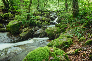 Dans un joli site d'arbres et de rochers s'écoule cette cascade au nom de cascade de Briscou ou...