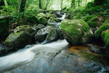 Dans un joli site d'arbres et de rochers s'&eacute;coule cette cascade au nom de cascade de Briscou ou Brisecou &agrave; autun en bourgogne dans la for&ecirc;t