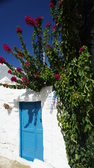 blue and white house. bougainvillaea and white traditional building In Greek island of Koufonisi August 2021