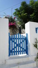 bougainvillaea blue wooden entrance door  and white traditional building In Greek island of Koufonisi August 2021