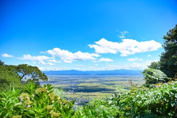 Fototapeta na wymiar 弥彦山からの田園風景