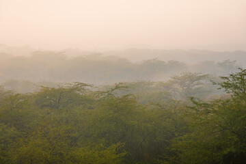 Panoramic view of Sanjay Van is a sprawling city forest area near Vasant Kunj and Mehrauli in...