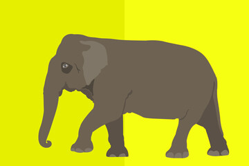 Elephant in Flat Design Style