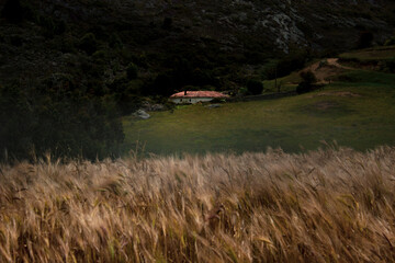 Fototapeta premium Hay veces que solo necesitamos una cabaña en medio del campo