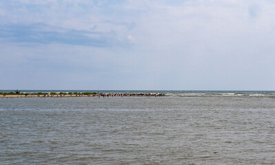 Danube Delta - 0 km