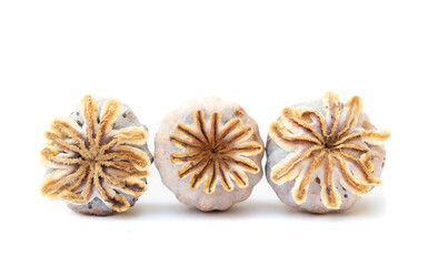 Three opium poppy pods, closeup. Front view of dried poppy pods. Also known as Papaver somniferum. Used harvest seeds for planting, cooking or medicinal. Isolated on white. Selective focus.