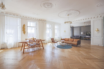 luxury interior of a spacious apartment in an old 19th century historical house with modern furniture. high ceiling and walls are decorated with stucco