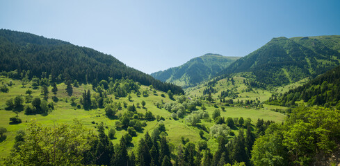 Beautiful panoramic view of the plateau. Green grass and forests in the morning light