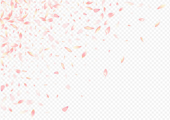 Bright Petal Vector Transparent Background. Tree