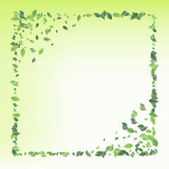 Olive Leaf Abstract Vector Green Background