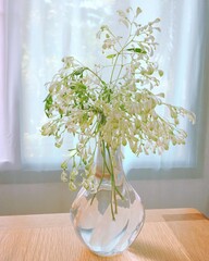 Bouquet of beautiful in glass vase on wood table with sunlight from the window in the morning background, decorated home, minimal style.