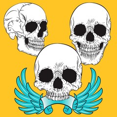 Crazy skull with eyes glasses and ribbon with background