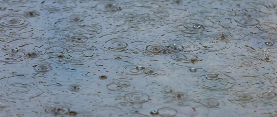 Raindrops on the water. Puddles and raindrops. Mugs on the water