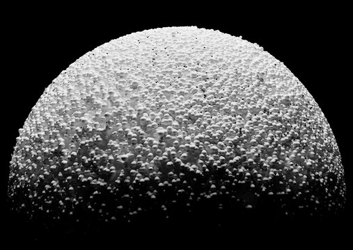 3d render of monochrome black and white abstract art 3d ball sphere or planet based on small bubbles foam particles in white plastic and glossy silver metal material on isolated black background