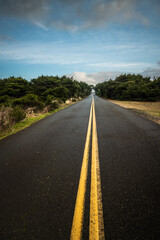 Vertical image country road with greenery and blue sky with clouds