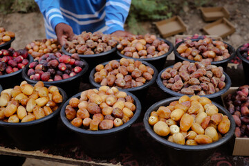 saudi date season