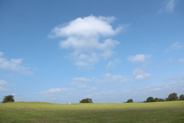 Green field and blue sky