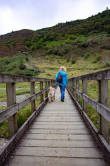 woman and dog walking on the bridge