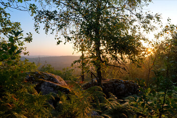 Obraz na płótnie Canvas Corne-Biche rock panorama in Fontainebleau forest 