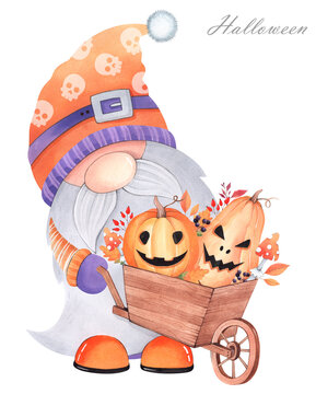 Watercolor illustration. Cute gnome on a white background. Halloween holiday. Gnome with cart and pumpkins. 