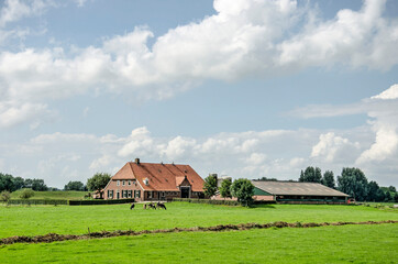 Zwolle, The Netherlands, August 10, 2021: traditional farmhouse with cows and a large barn under a...