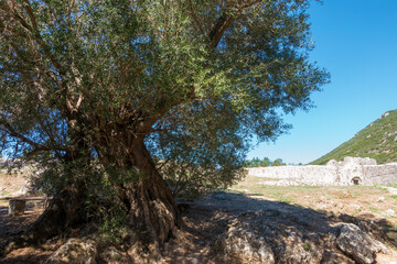 The Byzantine fortress of Gardiki, Corfu, Greece