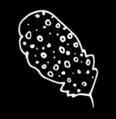 Vector bird feather with a texture of circles and dots . curved, rounded bird feather with dots pattern, drawn in sketch style, isolated white outline on a black background for a design template.
