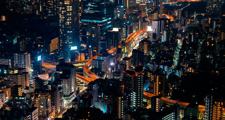 Obraz na płótnie Canvas Tokyo cityscape aerial view