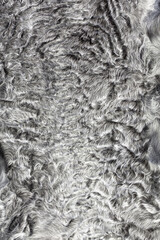 Directly above shot of Persian lamb skin