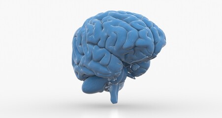 Creative background, the human brain on a blue background, the hemisphere 3d