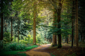 Hadriwa-Höhenweg Bayerischer Wald - Niederbayern