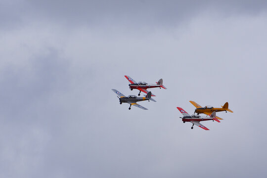 Four vintage  de Havilland  Chipmunk aircraft flying in formation.