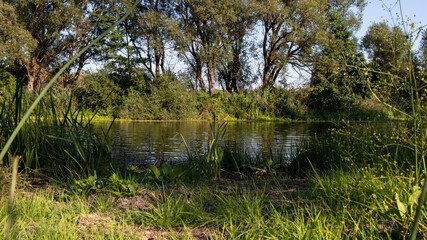 Peaceful and picturesque Ukrainian  landscape of the river shore.  Rural scene. Ukraine.
