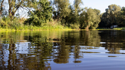 The calm water surface of the river with the reflection of trees. Peaceful rural summer scene.