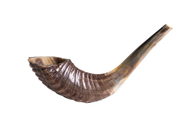 Shofar (horn) on white background. Rosh Hashanah.Yom Kippur Traditional symbol of the Jewish holiday.