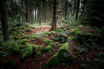 Hadriwa-Höhenweg Bayerischer Wald - Niederbayern