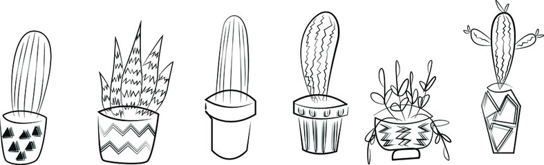 Houseplants sketch. Black and white illustration of flowers in pots. Flat sketch. Design for templates, cards, posters, avatars, backgrounds, textiles, compositions, cartoons.