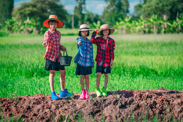 Children feeding food to fish in nature pond on green rice field background