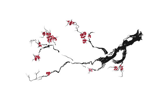 Realistic sakura blossom tree isolated on white background. Vector