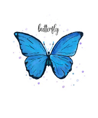 Beautiful watercolor Butterfly  painting