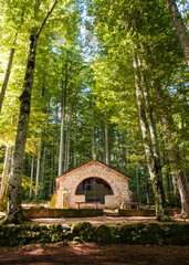Chapel Pierre Castel surrounded by Beech trees in the forest at Vizzavona in Corsica