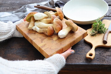 Woman holding fresh forest mushrooms on a dark background, Autumn cep mushrooms. Mushrooms picking and cooking